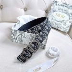 Christian Dior Belts E5896 35mm