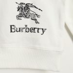 BC156078-F9D2-7123-CC2E-7DA6221DB376-1