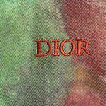 2BA4AE95-7DCD-70DE-5764-9CA308FB5C55-1