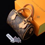 Louis Vuitton Nano Speedy Bags M81085 16*10*7.6cm