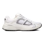Dior B30 'White Grey'