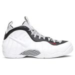 Air Foamposite Pro 'Chrome White'