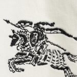 BC156078-F9D2-7123-CC2E-7DA6221DB376-1