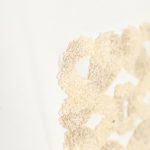 45217BD0-07FD-CAEC-82D5-C9E0810C9ECC
