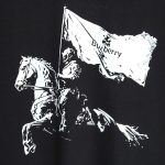 84A74B9B-D83B-9DDB-F0E1-A979459CED04-1