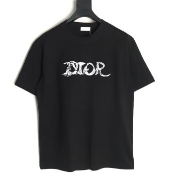 Dior lettering embroidered short sleeve T-shirt