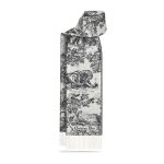 Dior Scarfs C540 210*47cm
