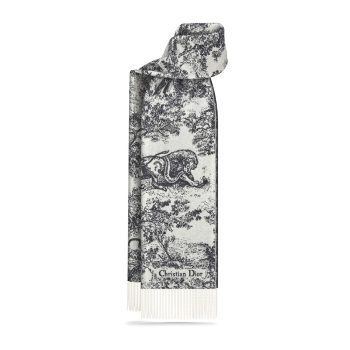 Dior Scarfs C540 210*47cm