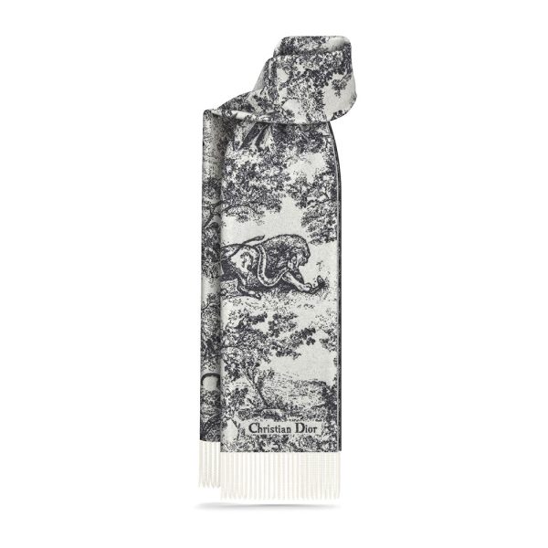 Dior Scarfs C540 210*47cm