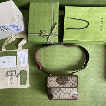 Gucci Bags 501050 22*16.5*4cm