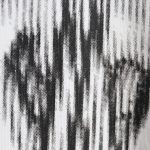 C81A9B33-F8CE-3172-9BAB-54759D3B8CDC