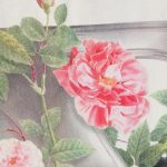 756F1712-8276-5C29-A249-20FE0B4F19AE