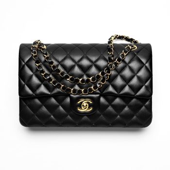 Chanel Bags Y01295 15*25*6cm